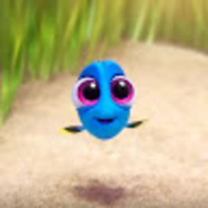 Meet your Posher, Isabelle